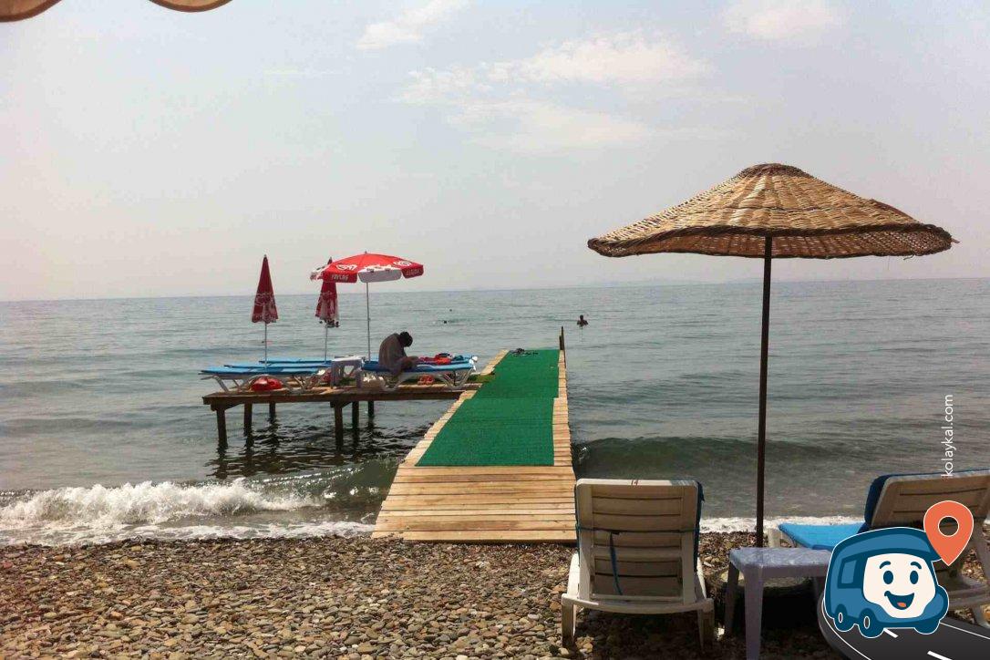 Ege Denizi Zeytin Ağaçları Arası Sahil Otoparkı - Ayvacık, Çanakkale