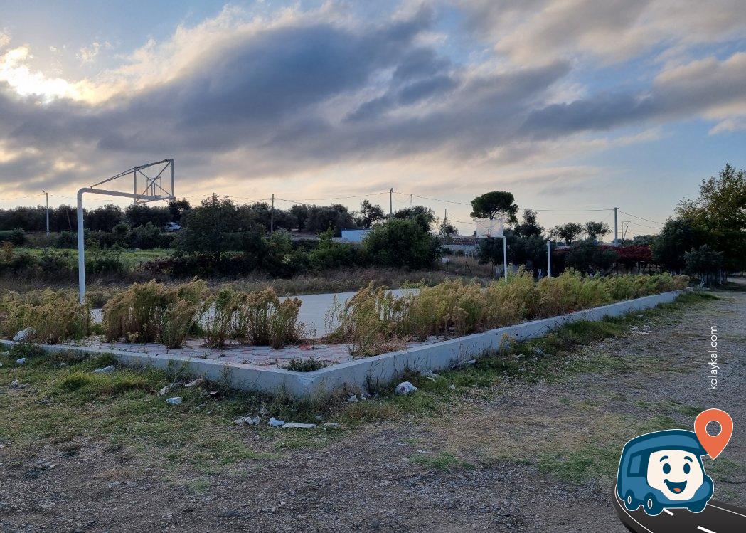 Çanakkale Sahili Zeytin Ağaçları Altı Kamp ve Piknik Alanı - Lapseki