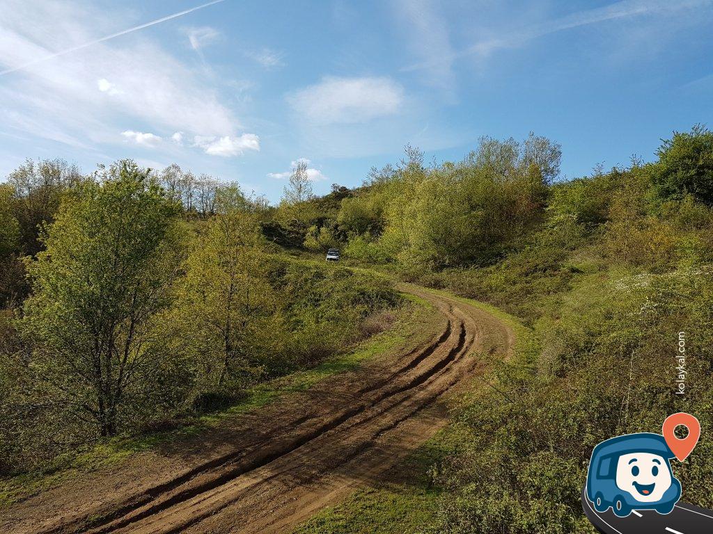 Gölcük Orman İçi Piknik Alanı - Kocaeli