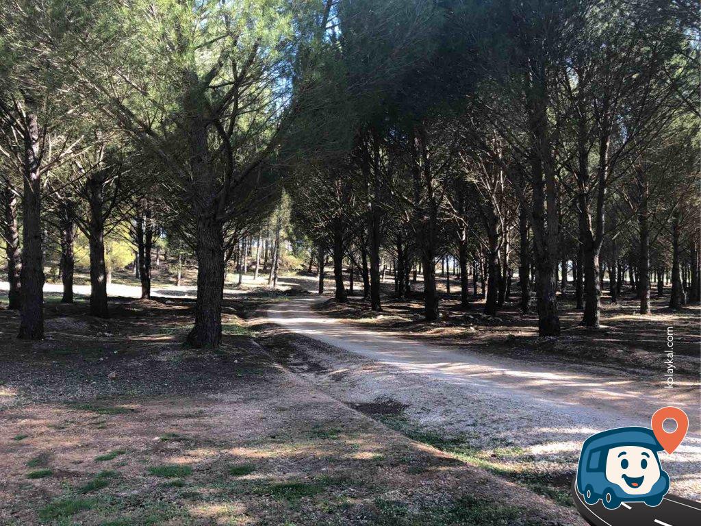 Kaş Orman İçi Kamp Alanı - Antalya