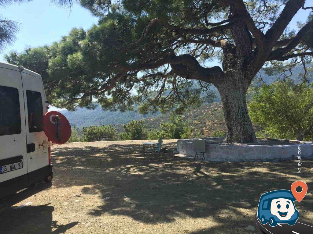 Edremit Zeytinlik Kamp Alanı Midilli Adası Manzaralı - Balıkesir