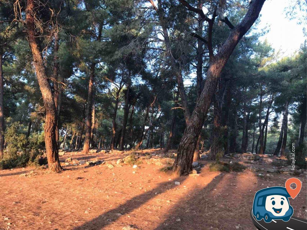 Kabak Koyu Yakınında Sakin Kamp Alanı - Seydikemer, Muğla