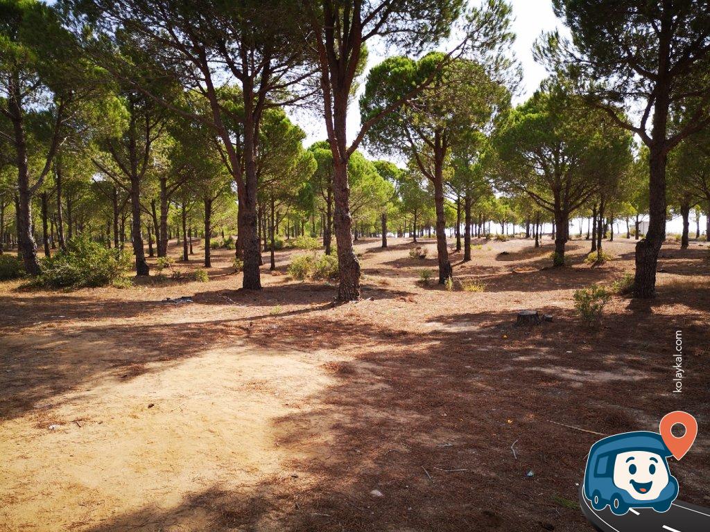 Kumluca Orman Kampı ve Karavan Parkı - Manavgat, Antalya