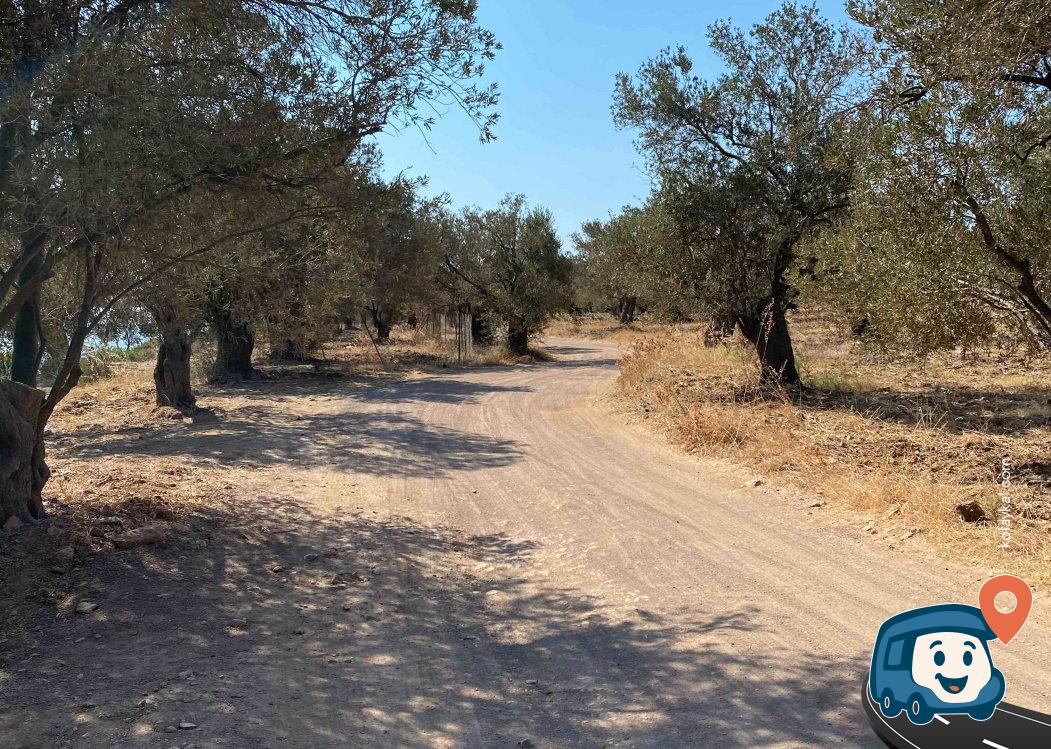 Sakin Koy Kamp Alanı - Ayvalık, Balıkesir