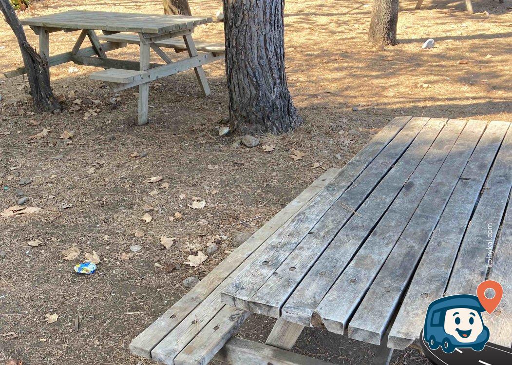 Güzelçamlı Piknik Alanı ve Su Kaynağı - Kuşadası, Aydın