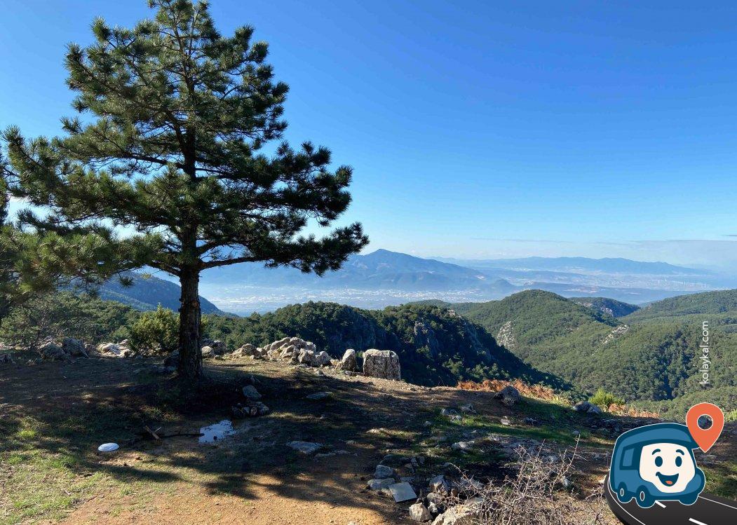 Spil Dağı Genel Kamp Alanı - Şehzadeler, Manisa