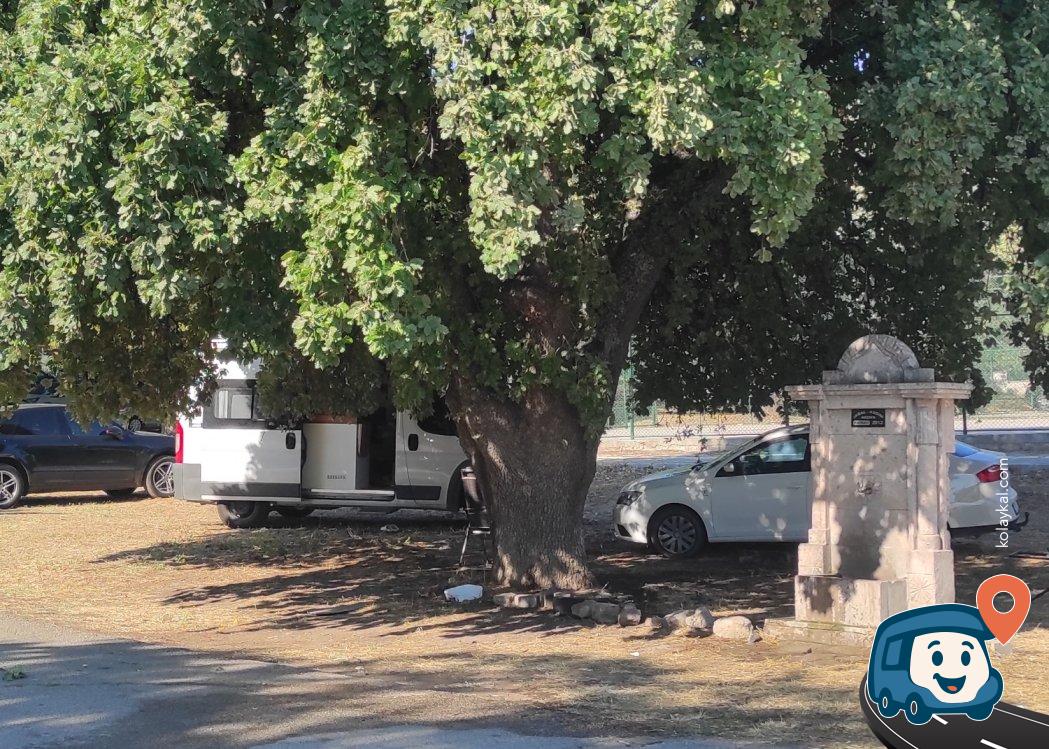Altınoluk Ören Sahili Meşe Ağaçları Arası Ücretsiz Otopark - Burhaniye, Balıkesir