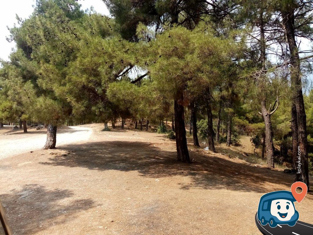 Orman İçi Kamp ve Mola Yeri - Tarsus, Mersin