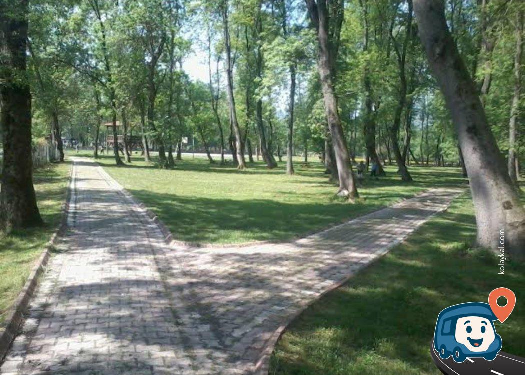 Bartın Zonguldak Yolu Serbest Piknik Alanı ve Otoparkı - Çaycuma
