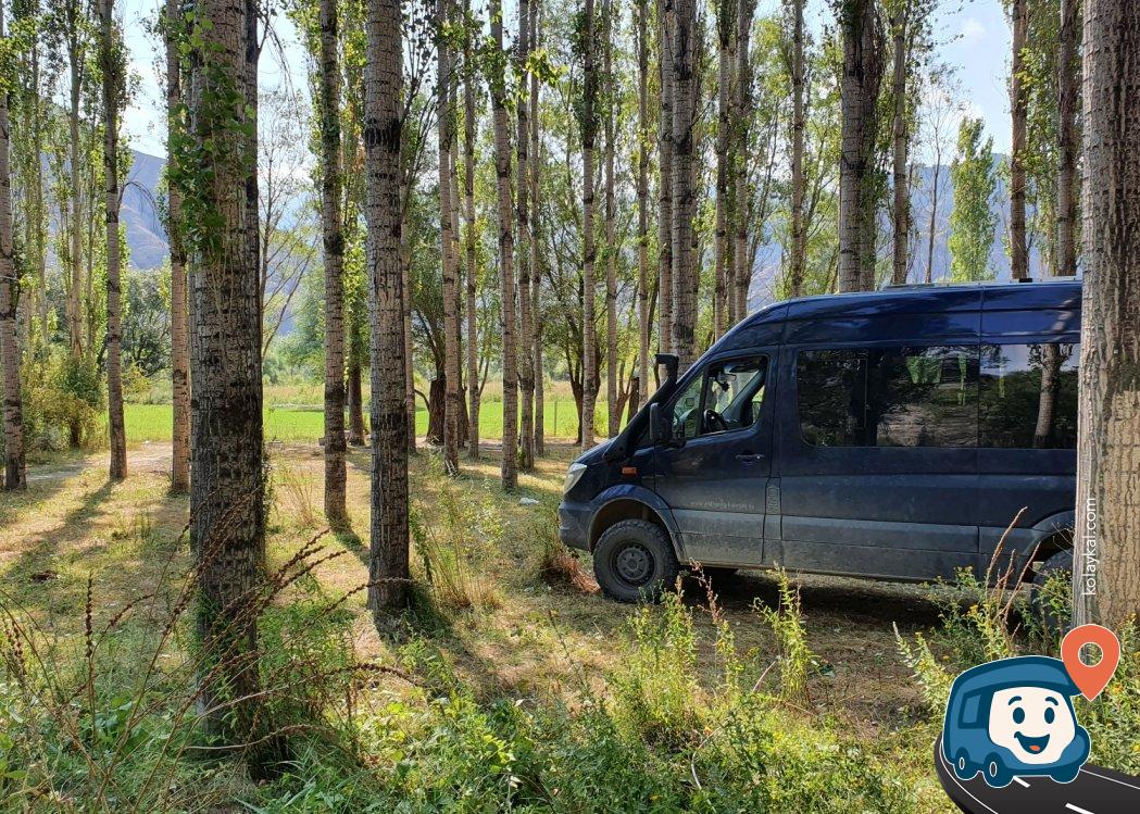 Orman İçi Piknik Alanı Ateş Yakma İmkanı - Uzundere, Erzurum