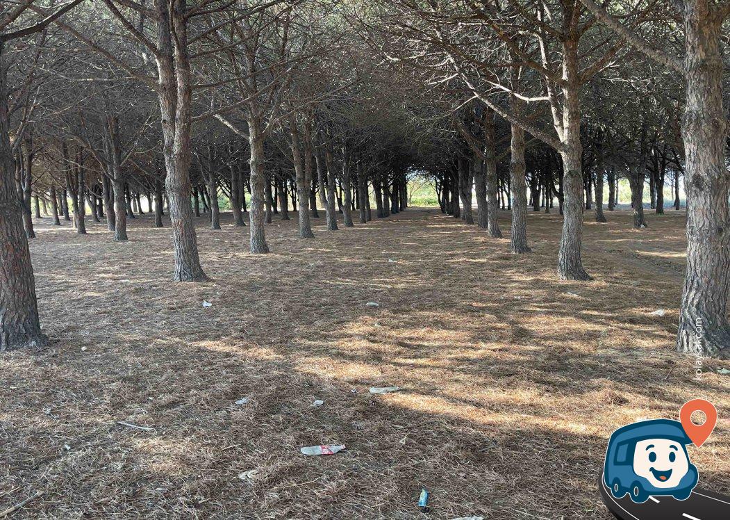 Alçıtepe Köyü Su Kaynağı ve Kamp Alanı - Çanakkale Merkez, Çanakkale