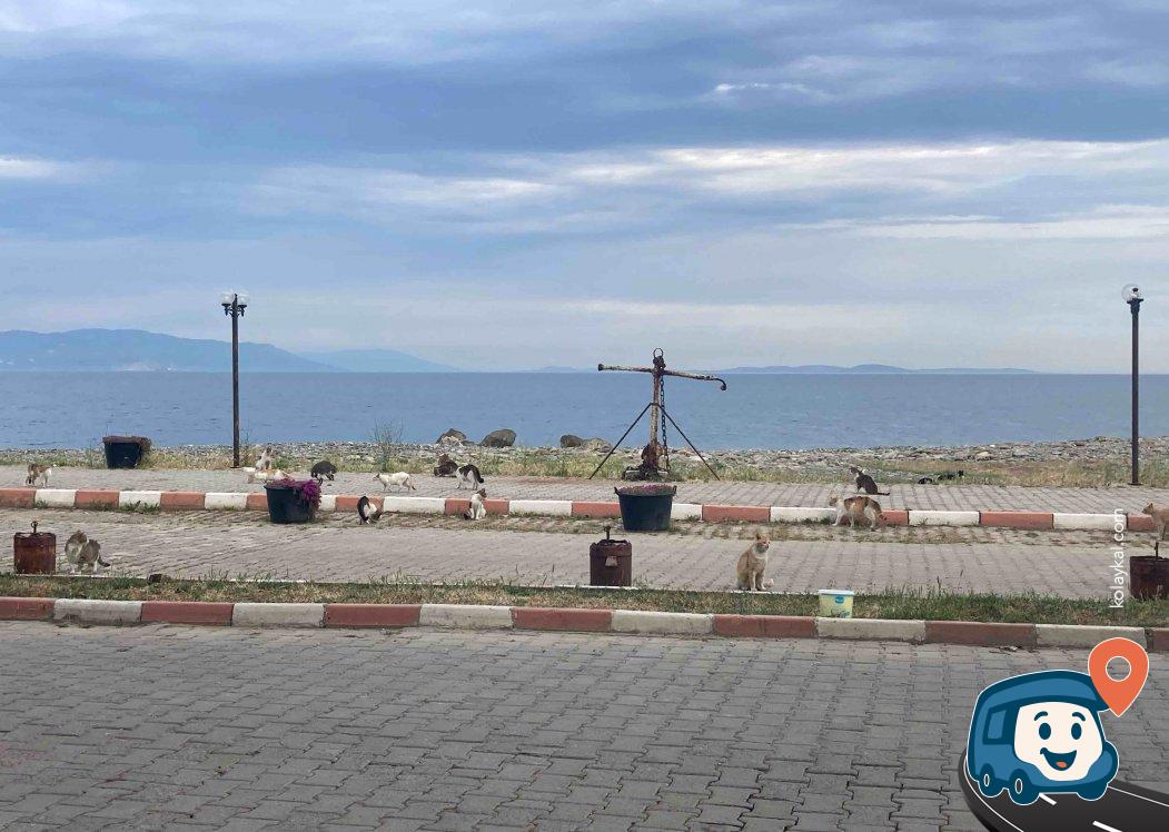 Balıkçı Köyü Otopark ve Dinlenme Alanı - Şarköy, Tekirdağ