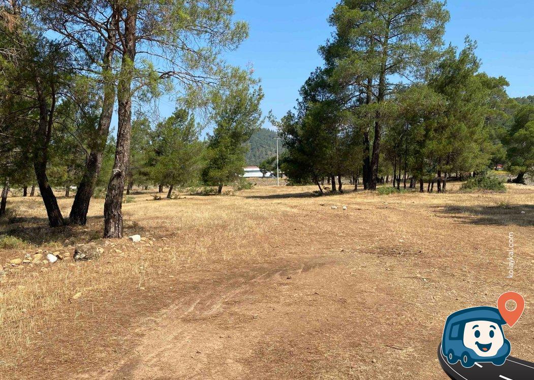 Marmaris Köyceğiz Yolu Üzeri Ağaçlık Kamp Alanı - Muğla
