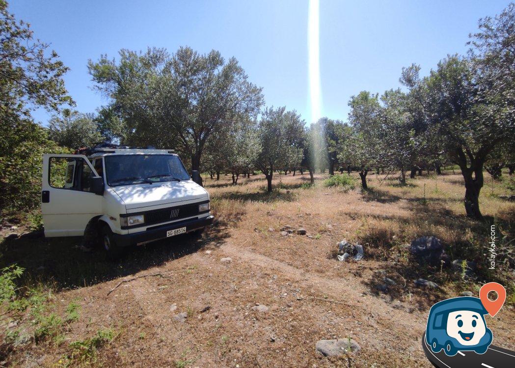 Ayvacık Barajı Kamp Alanı - Çanakkale