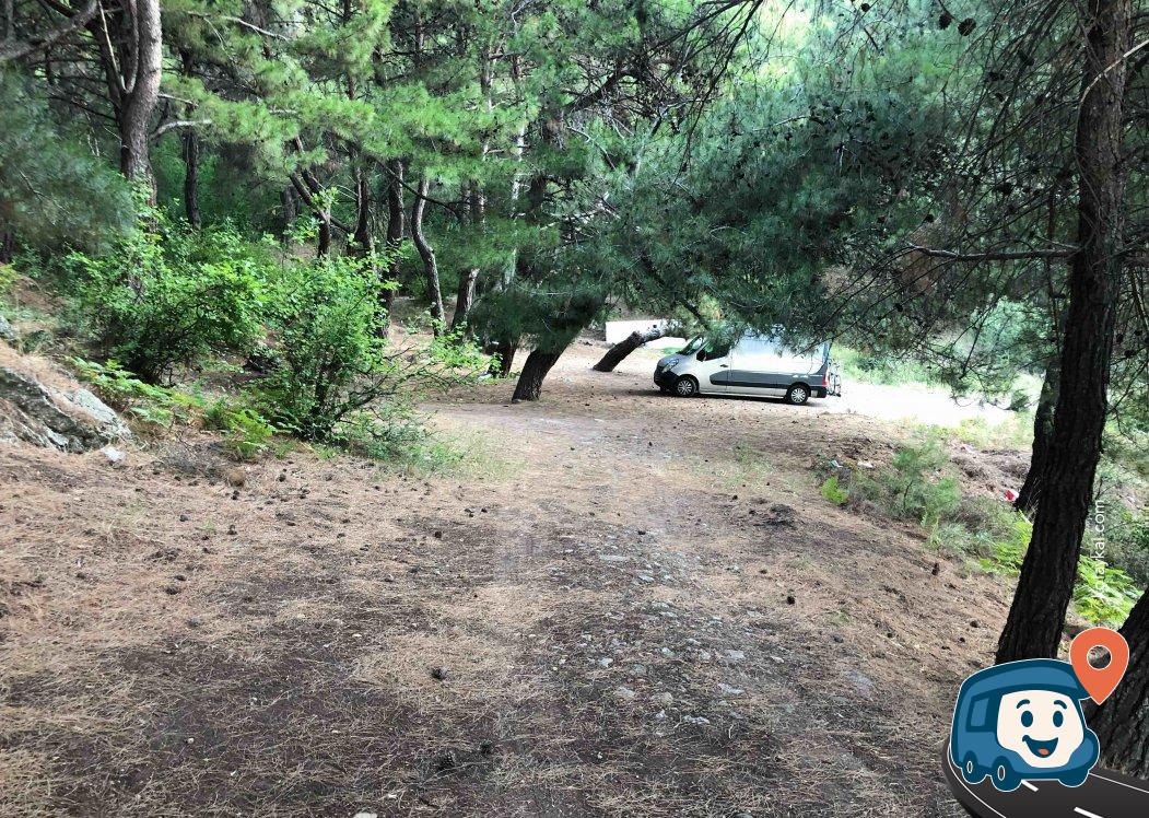Çam Ağaçları Altı Dinlenme Alanı - Ayvacık, Çanakkale