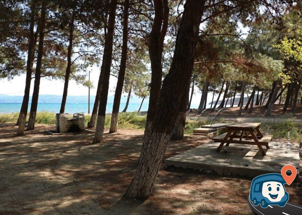 M. Nuri Erer Belediye Çamlığı Piknik Sahası - Gelibolu, Çanakkale