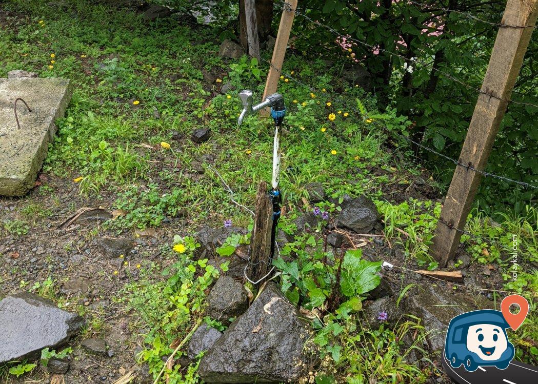 Artvin Su Çeşmesi ve Kamp Alanı - Borçka