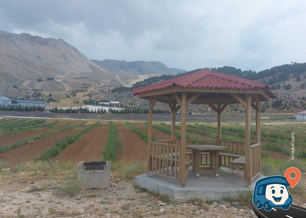 Davraz Kayak Merkezi Piknik Alanı - Isparta Merkez, Isparta