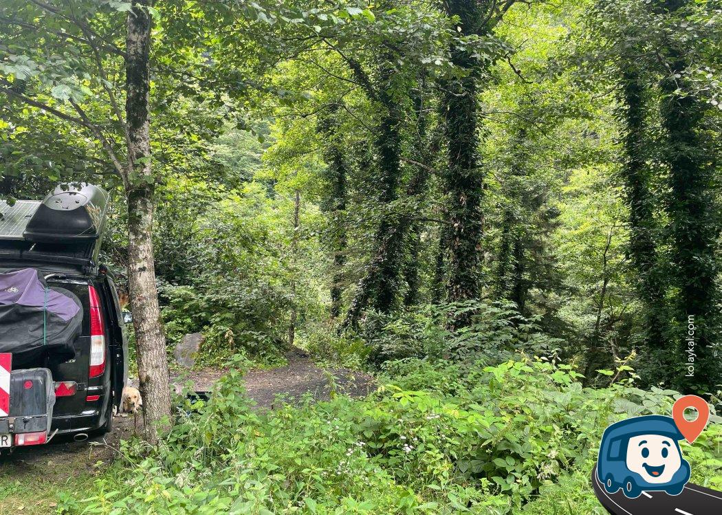 Yol Kenarı Sakin Kamp Noktası - Maçka, Trabzon