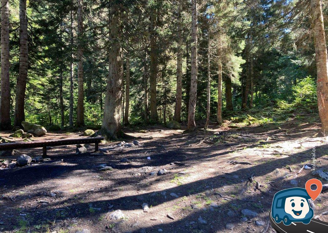 Kaçkar Milli Parkı Piknik Alanı - Çamlıhemşin, Rize