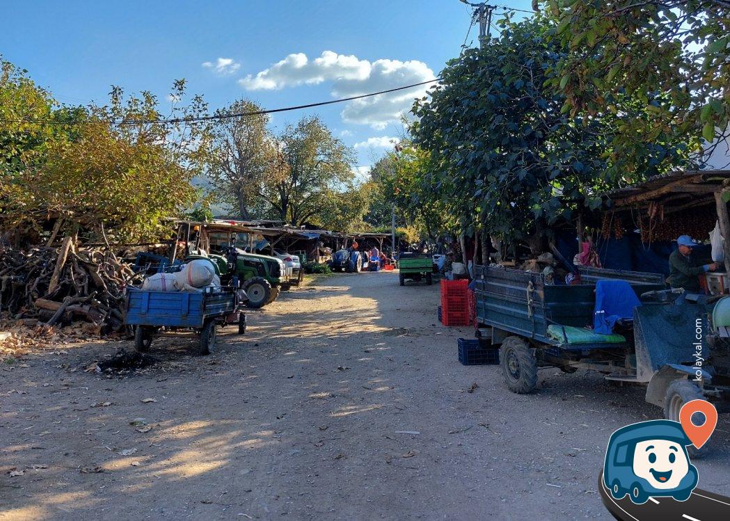 Turan Köyü Kamp Alanı - Erdek, Balıkesir