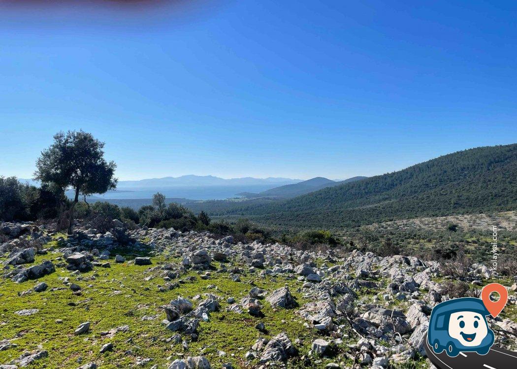 Deniz Manzaralı Kamp Alanı - Milas, Muğla
