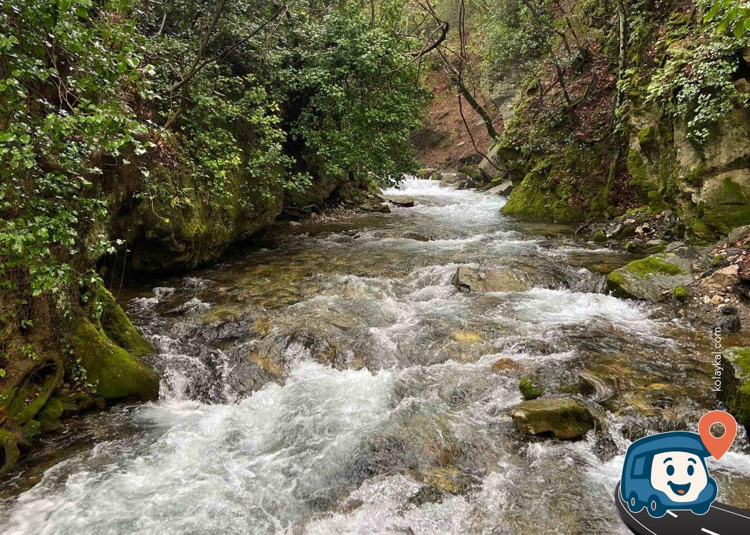 Kaz Dağları Eteklerinde Dere Kenarı Kamp ve Piknik Alanı - Edremit, Balıkesir