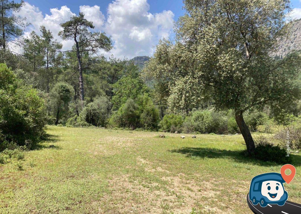 Tazı Kanyonu Girişi Kamp Alanı - Manavgat, Antalya