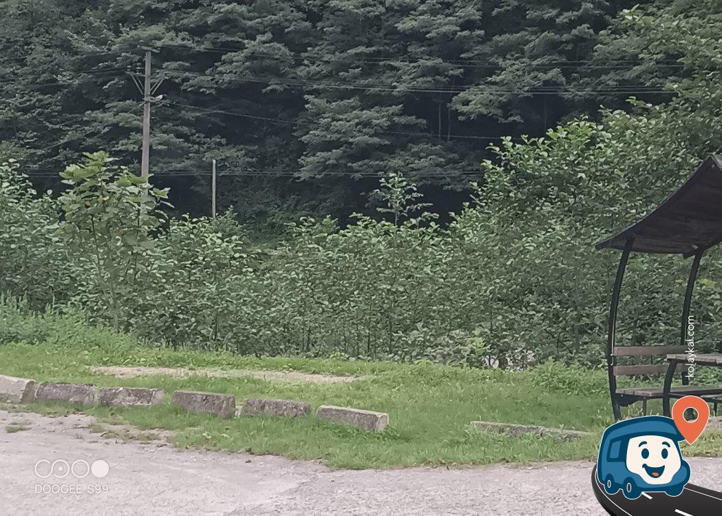 Fındıklı Deresi Kenarı Kamp ve Piknik Alanı - Çamlıhemşin, Rize