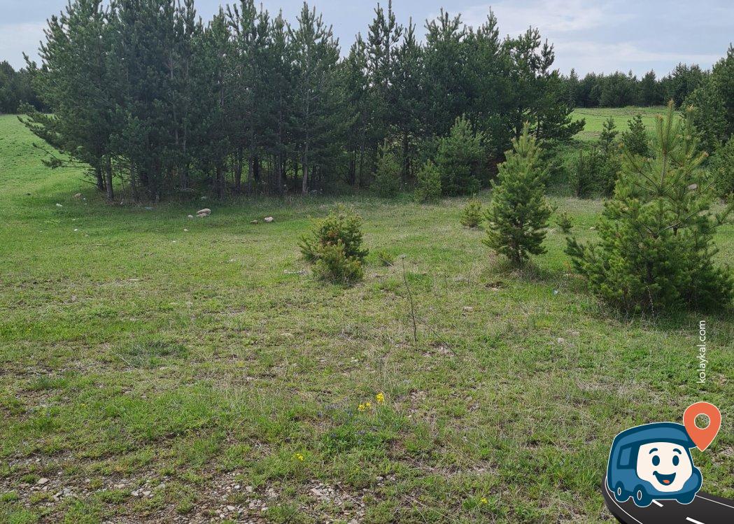 Damal Hanak Yolu Kamp Alanı - Ardahan