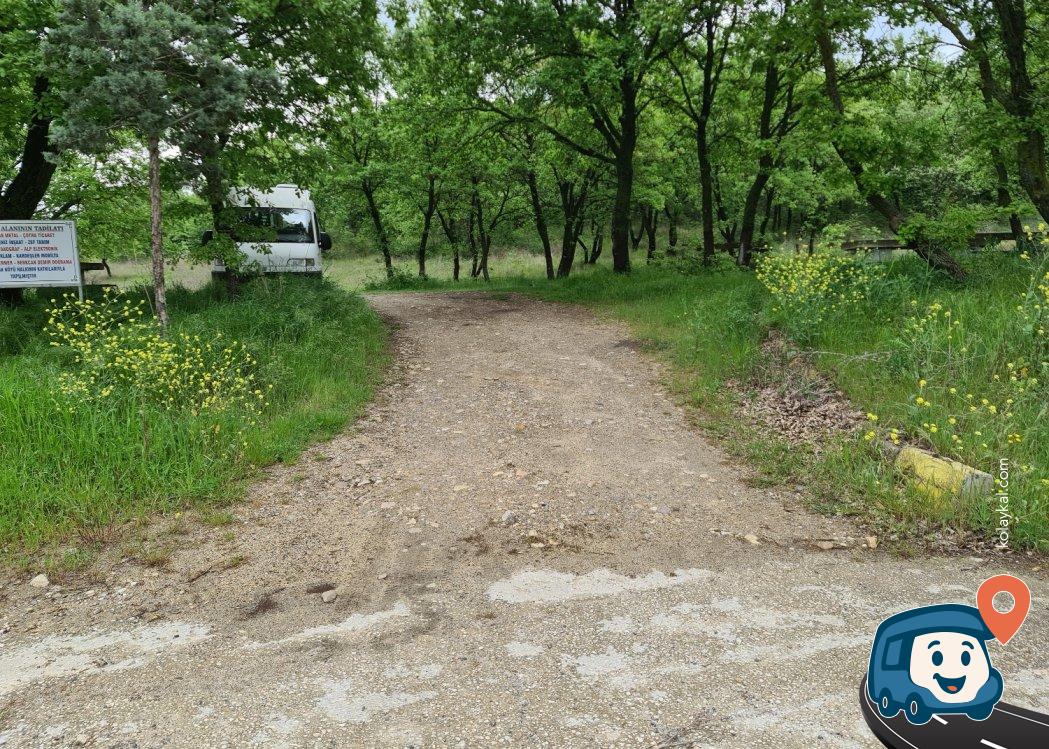 Uzunköprü Edirne Yolu Üzeri Piknik Alanı