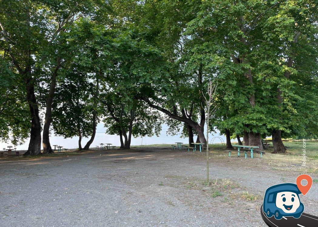 İznik Gölü Yakını Kamp ve Piknik Alanı - Orhangazi̇, Bursa