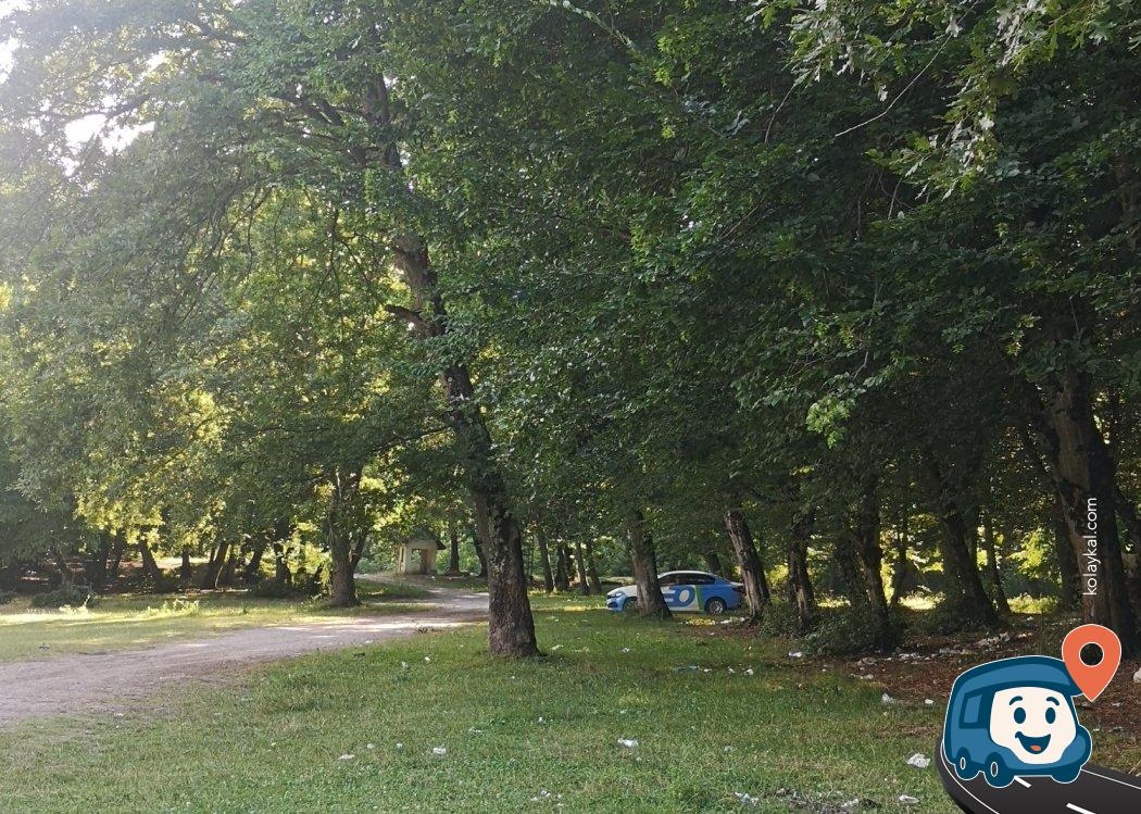 Zonguldak Yolu Üzeri Gölge Kamp ve Piknik Alanı - Çaycuma