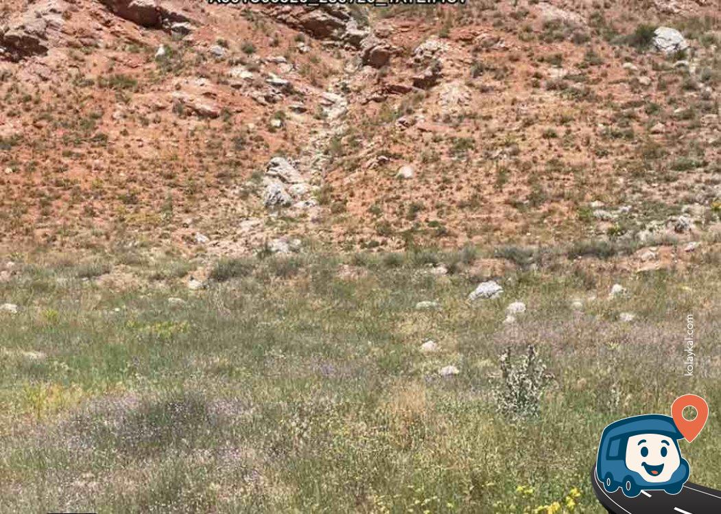 Dicle Nehri Kenarı Manzaralı Kamp ve Dinlenme Alanı - Viranşehir, Şanlıurfa