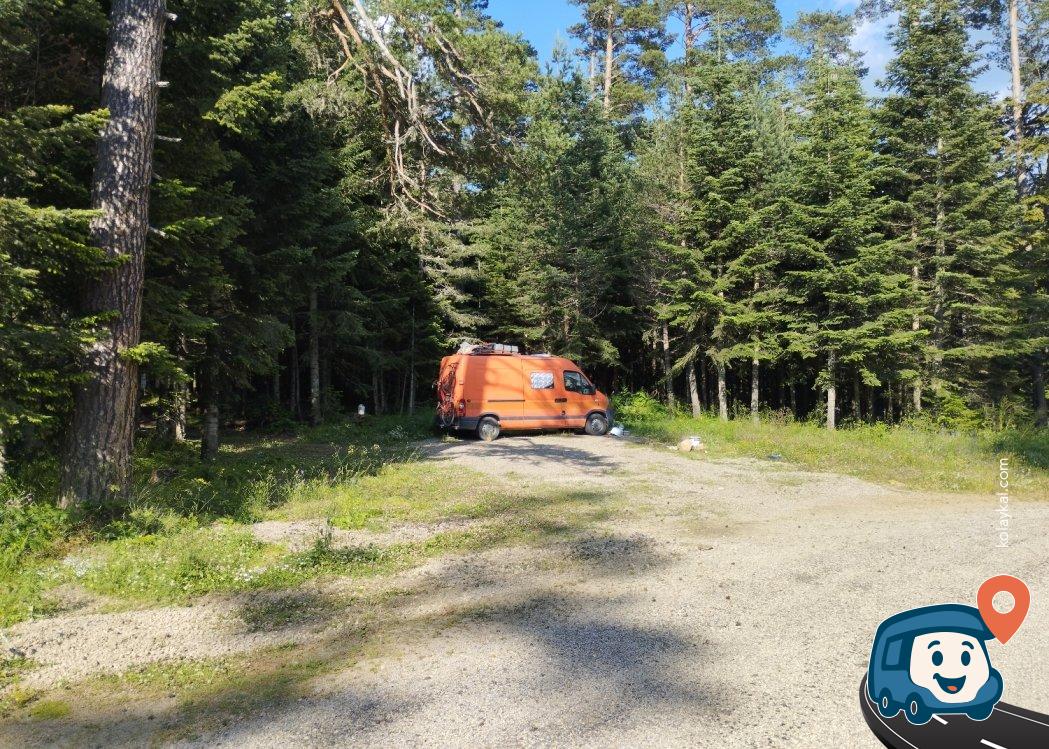 Yedigöller Yolu Orman Kenarı Kamp ve Karavan Alanı - Bolu Merkez, Bolu