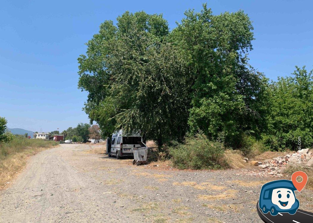 Sığla Ormanı Kamp Alanı - Köyceğiz, Muğla