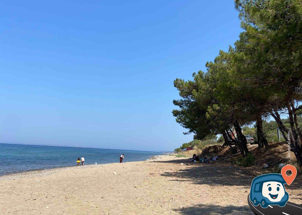 Assos Deniz Kenarı Kamp Alanı - Ezine, Çanakkale