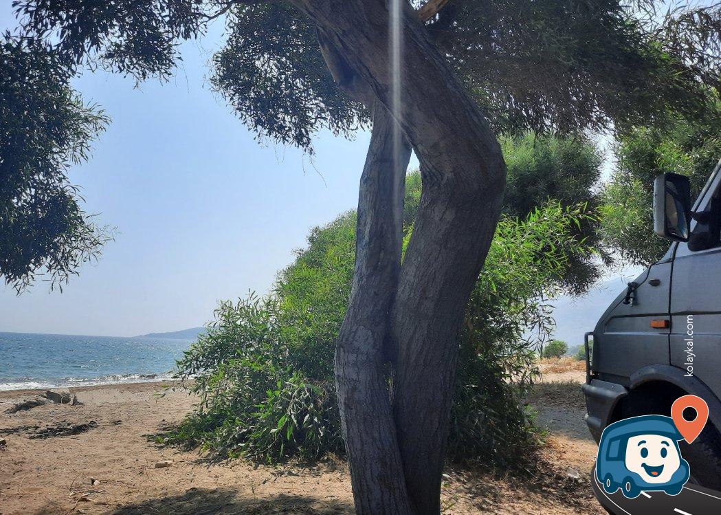 Finike Sahili Çam Altı Kamp ve Karavan Alanı - Antalya