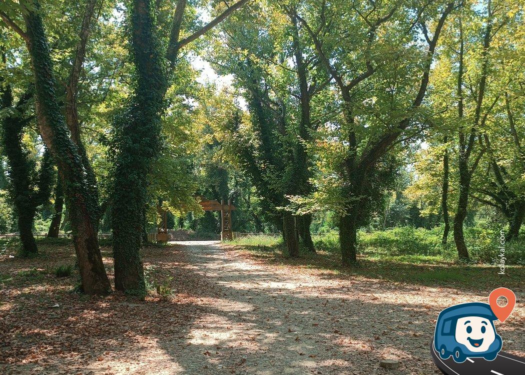 Karadeniz Ereğlisi Kamp ve Piknik Alanı - Ulus, Bartın
