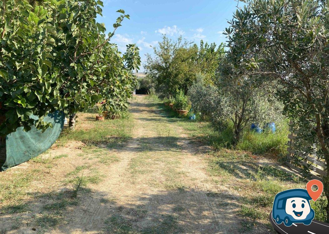 İzmir Sakin ve Huzurlu Aile Kamp Alanı - Seferihisar