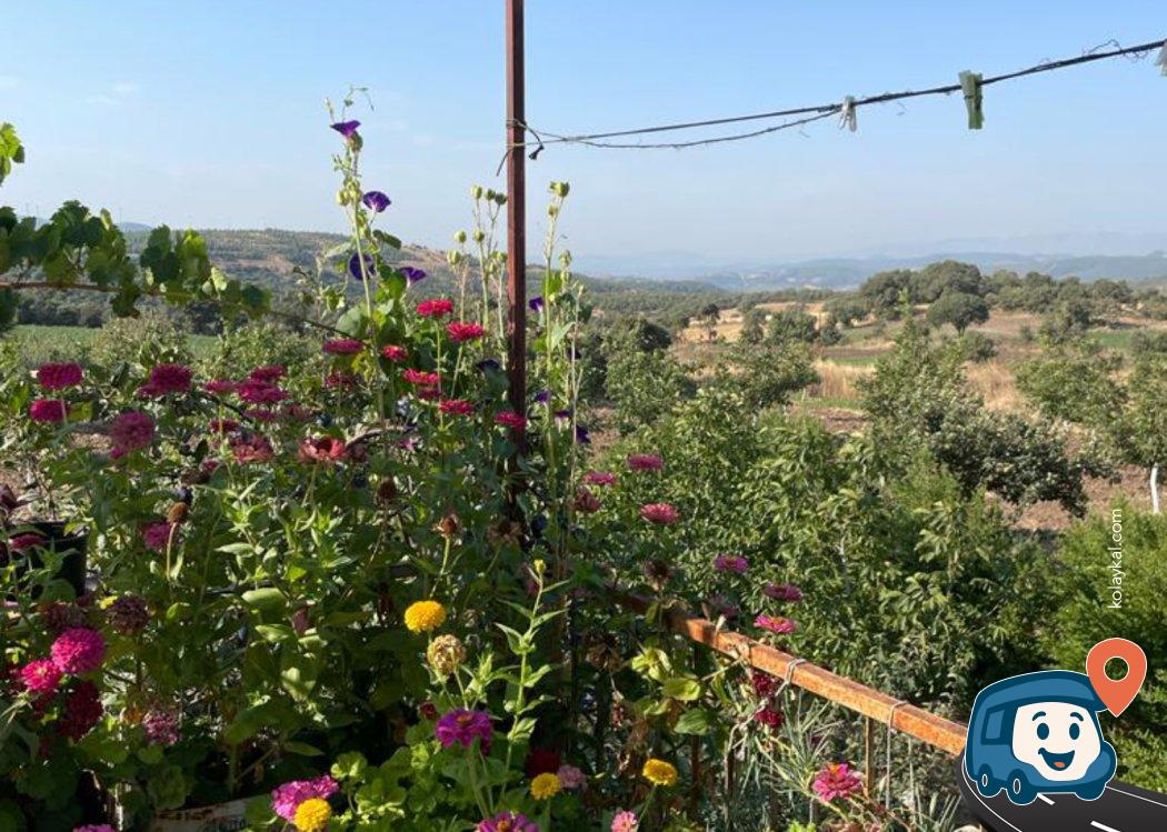 Özgür'ün Organik Çiftliği - Kırkağaç, Manisa