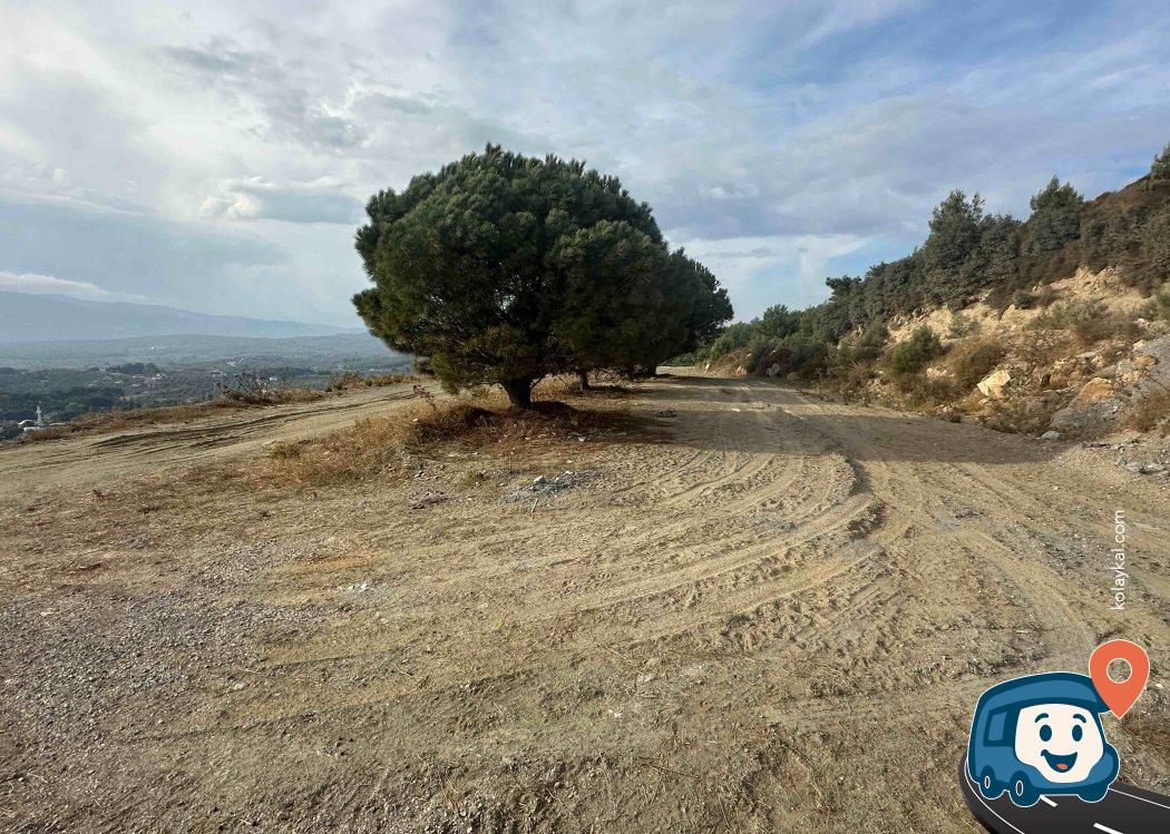 Efes Antik Kenti Yakınında Manzaralı Kamp Alanı - Selçuk, İzmir