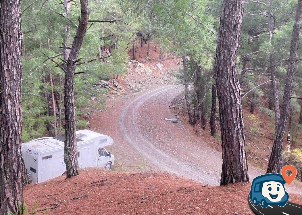 Armutçuk Kamp Alanı - Ula, Muğla