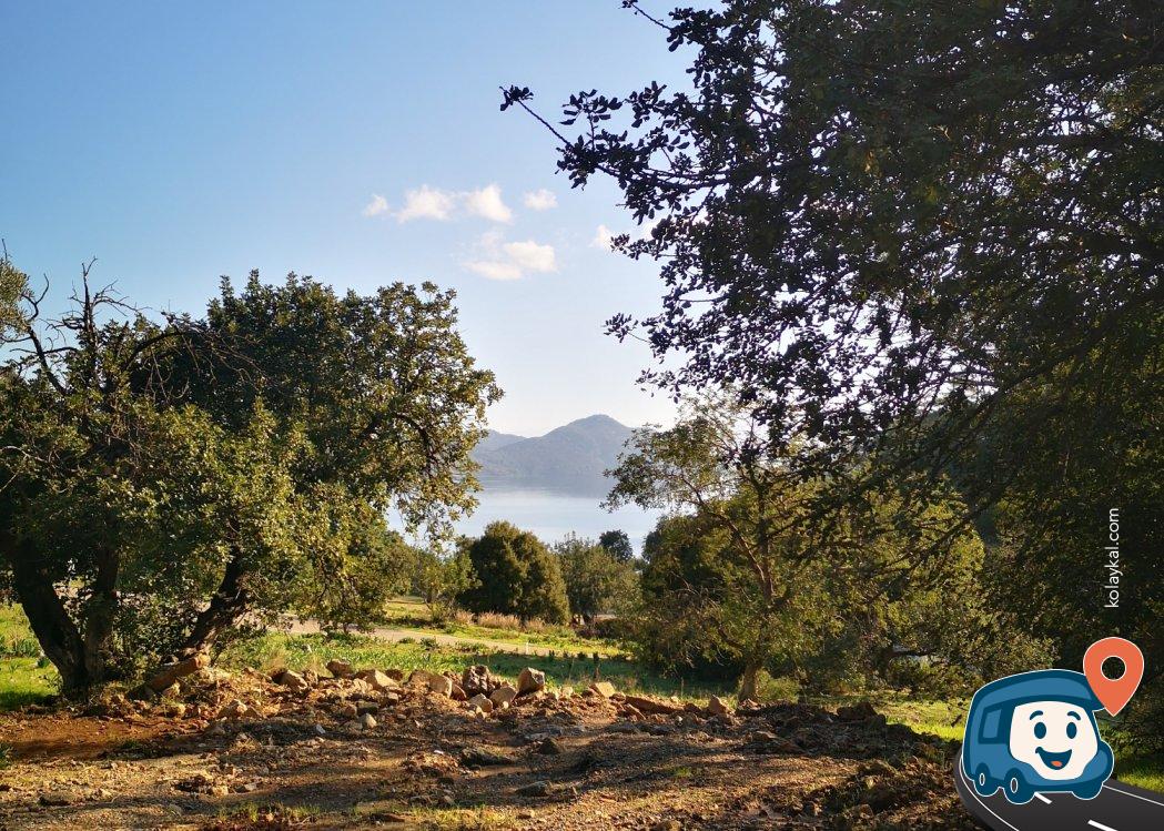Köyceğiz Eko Patika Yakını Zeytinlik Kamp Alanı - Dalaman, Muğla