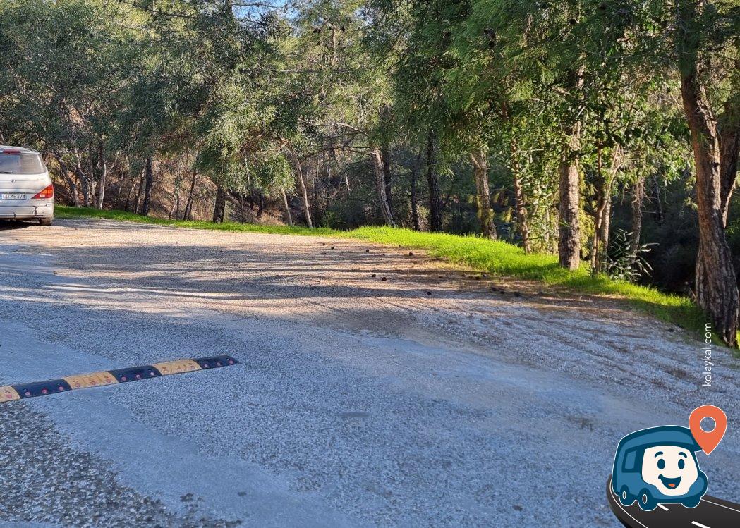 Katrancı Tabiat Parkı Kamp Alanı - Fethiye, Muğla