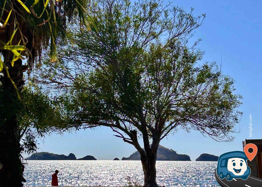 Yanıklar Doğa Kamp - Fethiye, Muğla