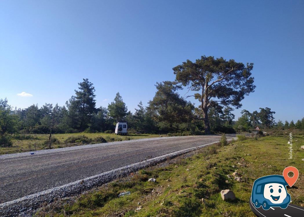 Milas Yakınında Sakin Yol Kenarı Kamp Alanı - Bodrum, Muğla