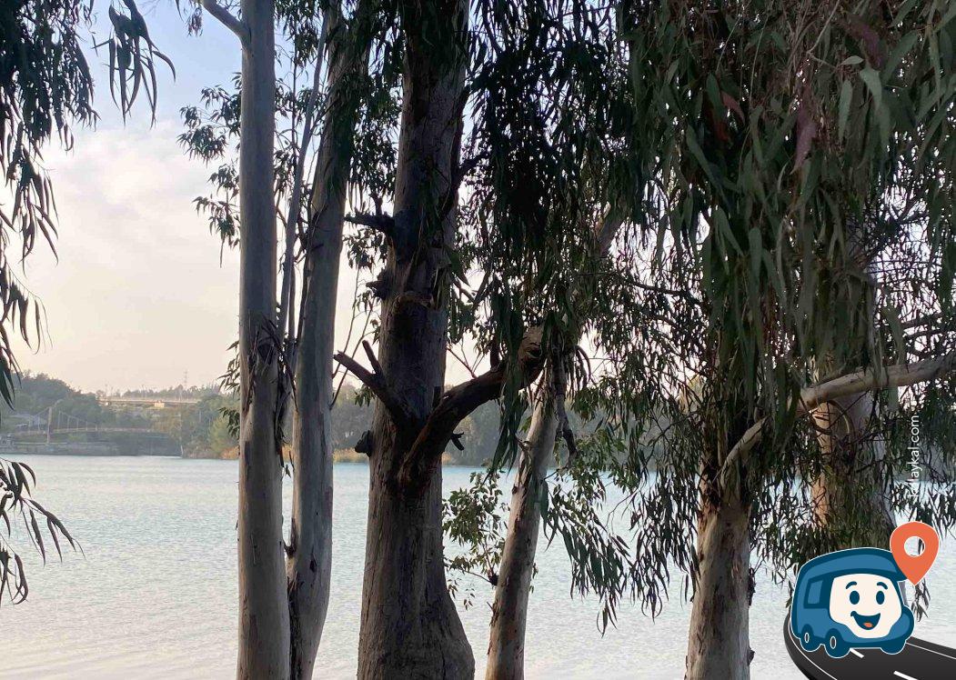 Seyhan Nehri Kenarı Otopark ve Dinlenme Alanı - Çukurova, Adana