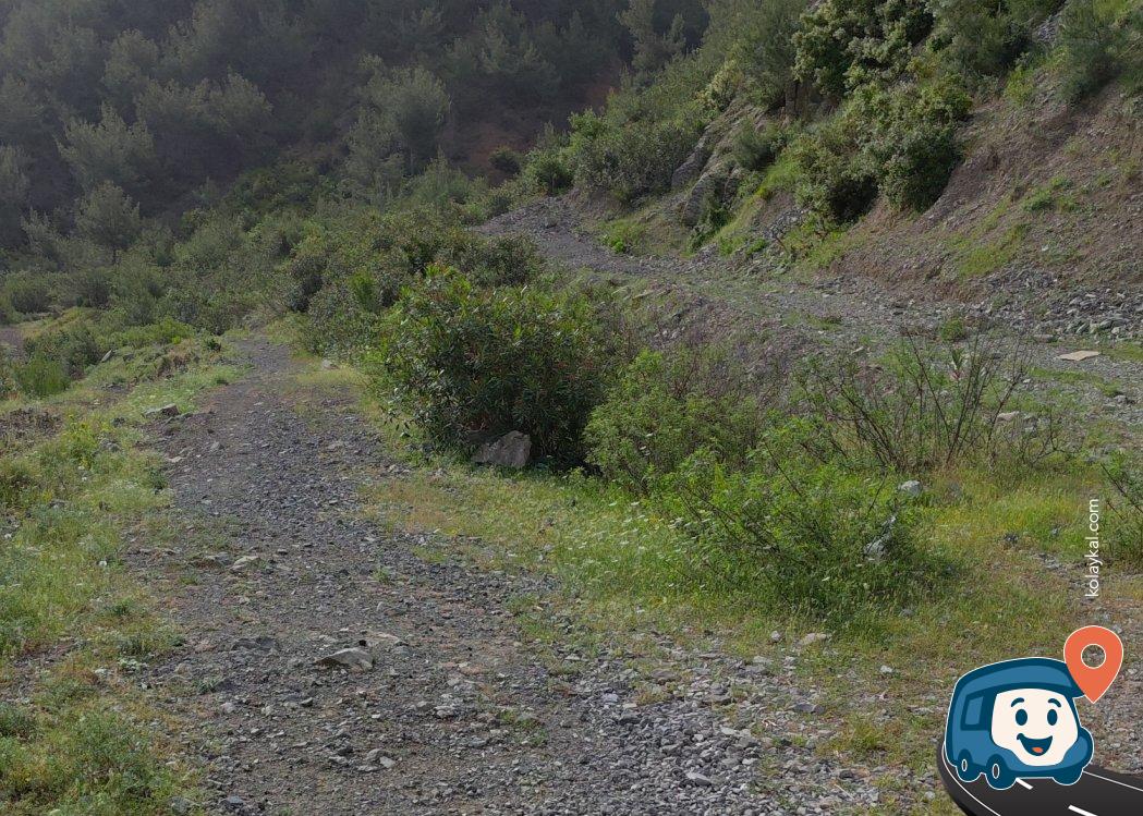 Andırın Yolu Üzeri Düzlük Kamp Alanı - Osmaniye Merkez, Osmaniye