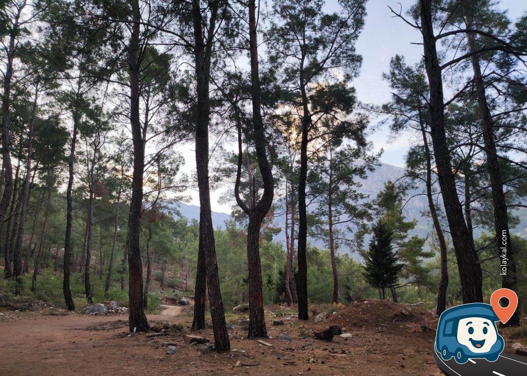 Beycik Yakınlarında Tahtalı Dağı Manzaralı Orman Kamp Alanı - Kemer, Antalya